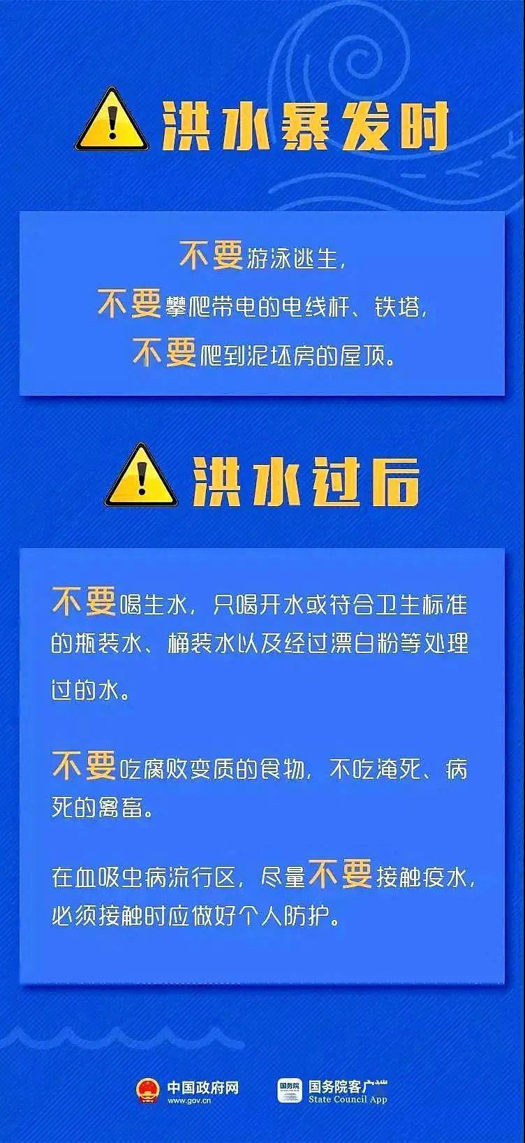 坦洲最新搬运工招聘信息揭秘，巷弄中的工作宝藏探索