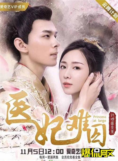 医妃难囚演员表，揭秘演员阵容及其影响