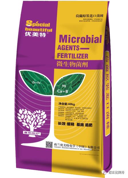 泰谷生物上市流程及指南，从起步到成功上市之路