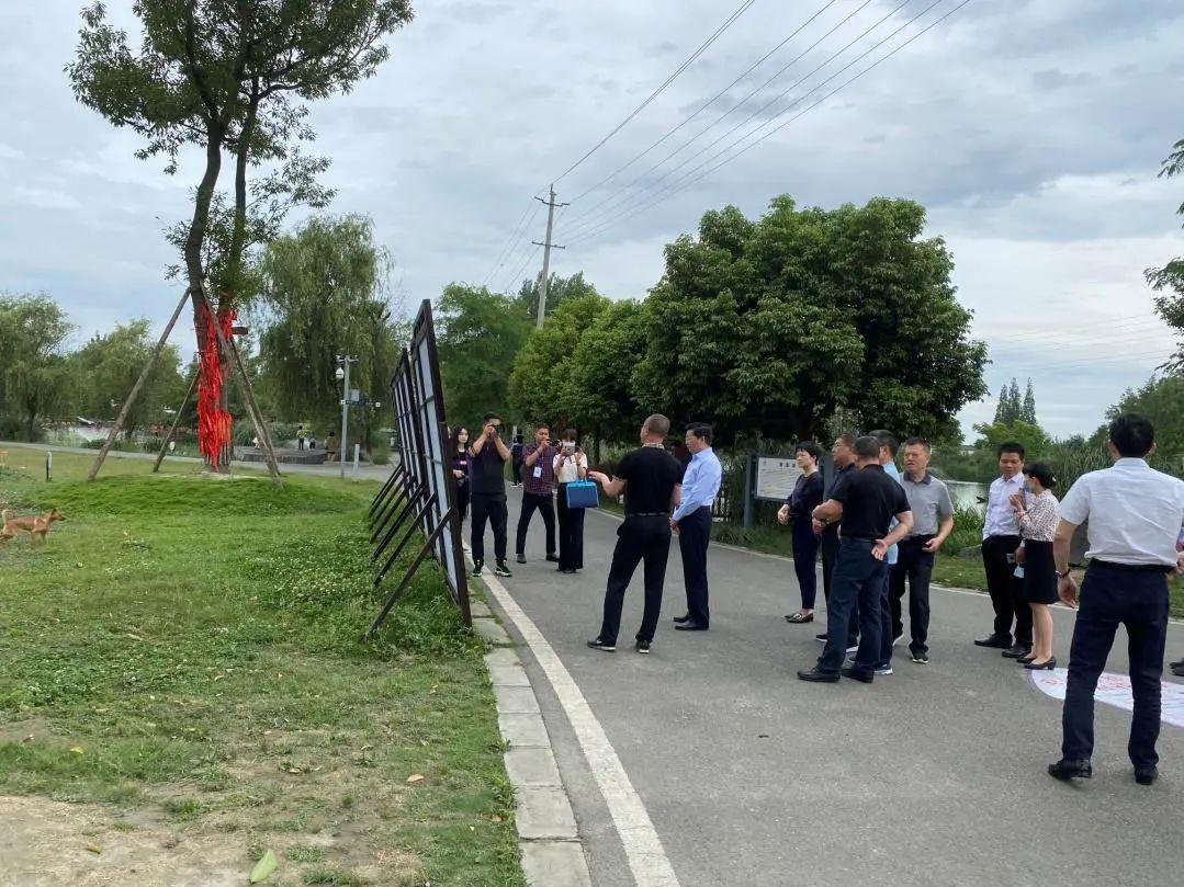成都市委常委名单更新及自然之旅探寻内心平静的秘诀