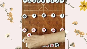 象棋快棋比赛，心灵与自然的美景之旅之旅激战瞬间，智谋与速度的较量