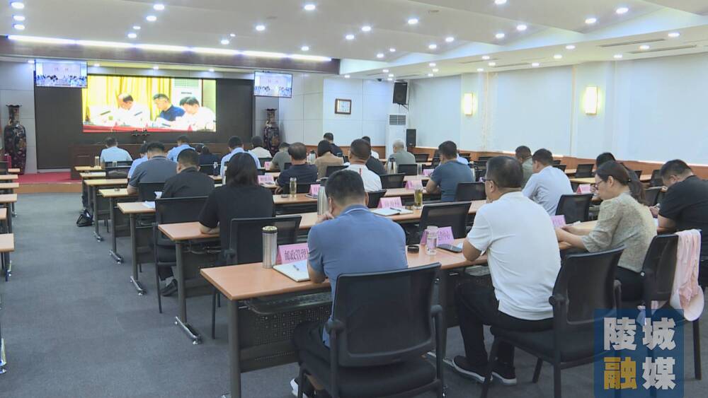 陵城区实时新闻直播报道