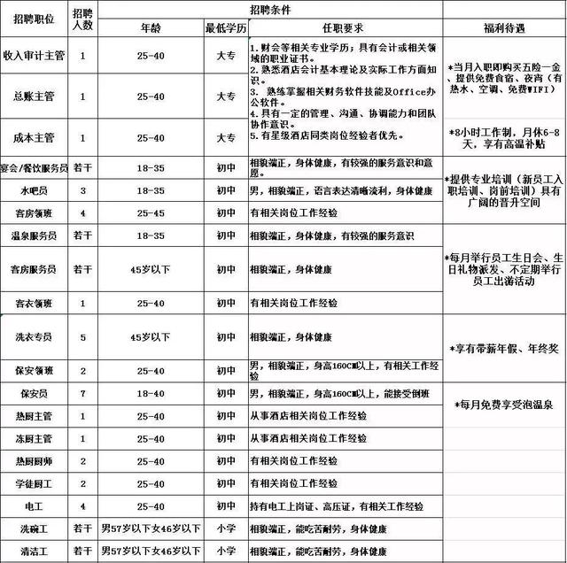 长沙最新司机招聘信息揭秘，探寻城市小巷中的职业风味